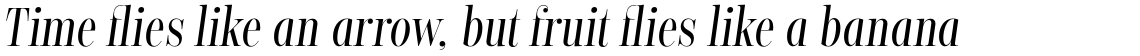 Encorpada Classic Compressed Regular Italic
