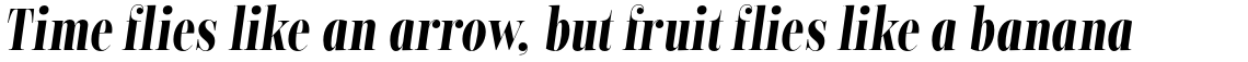 Encorpada Classic Compressed Bold Italic