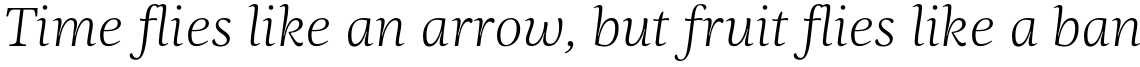Ninfa Serif Light Italic
