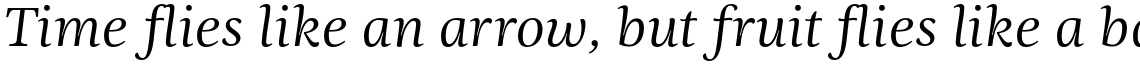 Ninfa Serif Book Italic