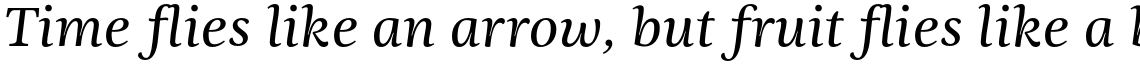 Ninfa Serif Regular Italic