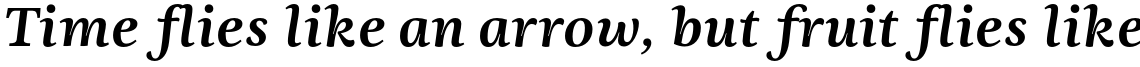 Ninfa Serif Bold Italic