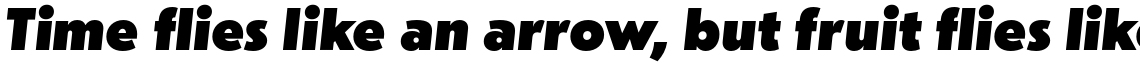dT Jakob Black Italic