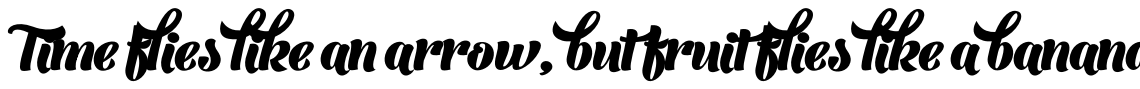 Barracuda Script Bold