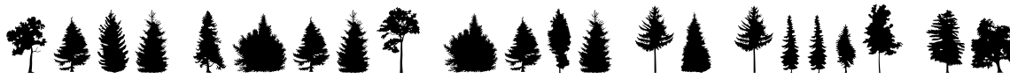 FT Hidden Forest
