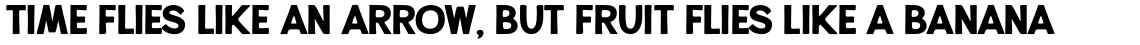 Alfons Display Black