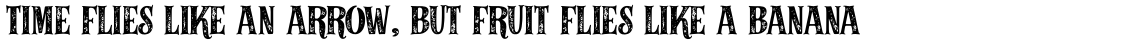 Alfons Serif Bold 2 Printed