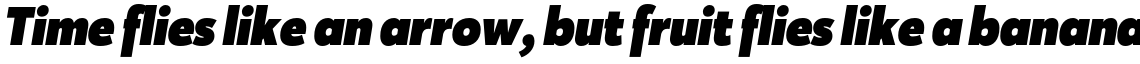 Karu Black Italic
