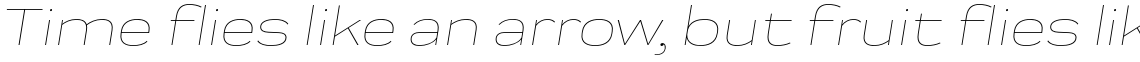 Praktika ExtraLight Extended Italic