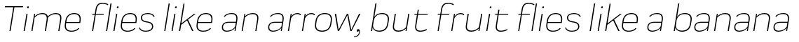 Praktika Light Italic