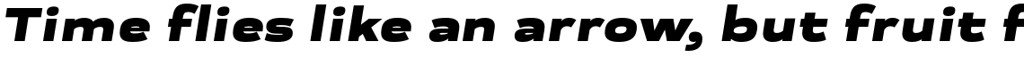 Praktika Black Extended Italic