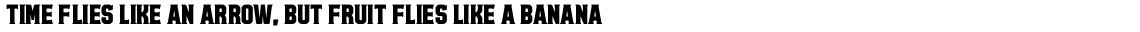 Bolton Serif Bold