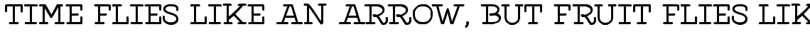 Elixir Print Serif