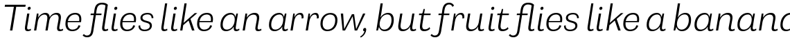 Capital Gothic Light Italic