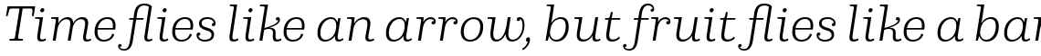Capital Serif Light Italic
