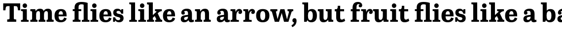 Capital Serif Bold