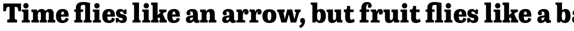 Capital Serif ExtraBold