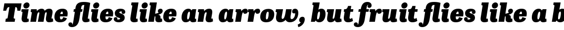 Capital Serif Black Italic