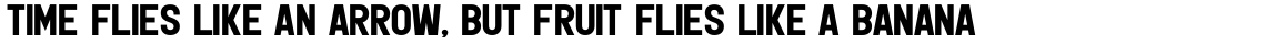 Leftfield Sans Bold