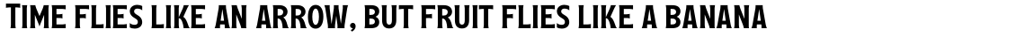 Leftfield Serif Regular