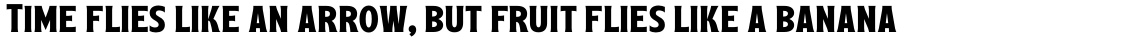 Leftfield Serif Bold
