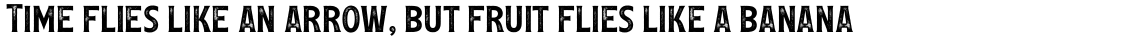 Leftfield Serif Rough Regular