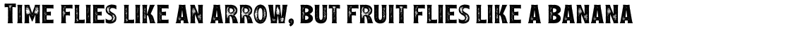 Leftfield Serif Rough Bold