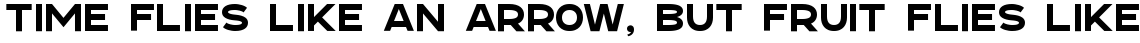 Explorer Sans Bold