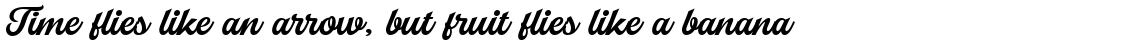 Explorer Script Regular
