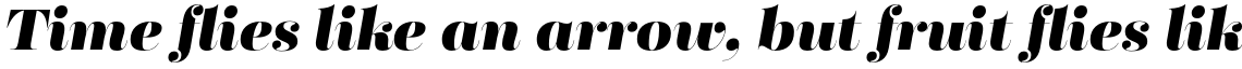 Fabrica Heavy Italic