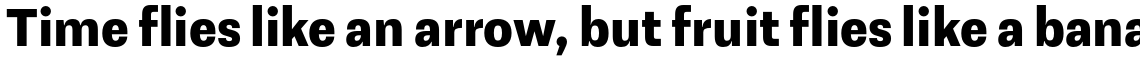 Avion Bold