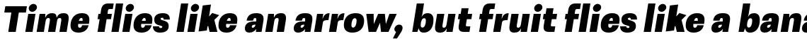 Avion ExtraBold Oblique