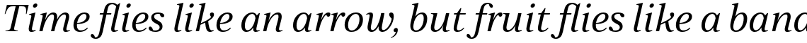 Zeit Light Italic
