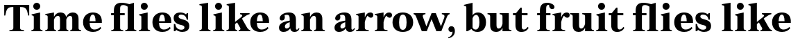 Zeit Bold