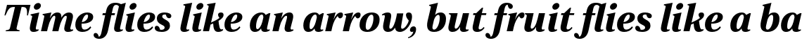 Zeit Bold Italic