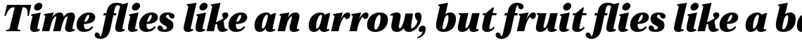 Zeit Heavy Italic