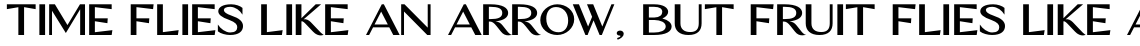 Vogue Sans Bold