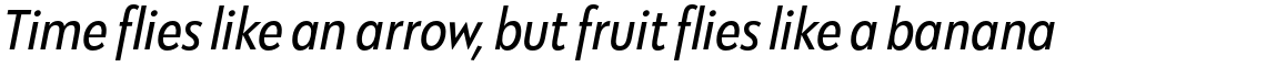Klik Narrow Italic