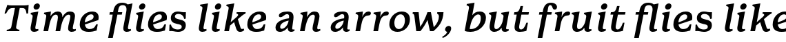 Walden Regular Italic