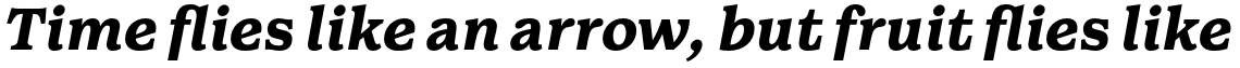 Walden Bold Italic