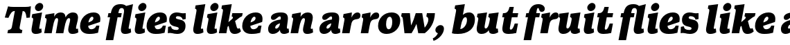 Walden Black Italic