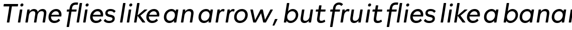 Rockford Sans Light Italic