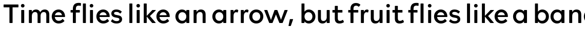 Rockford Sans Regular