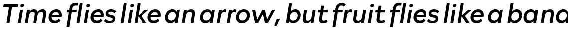 Rockford Sans Regular Italic