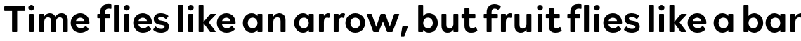 Rockford Sans Medium