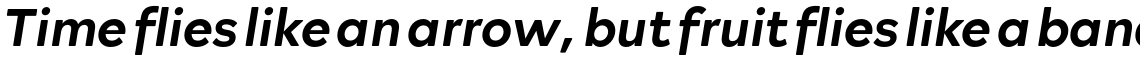 Rockford Sans Medium Italic