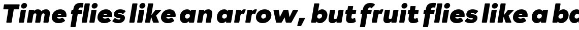 Rockford Sans Heavy Italic