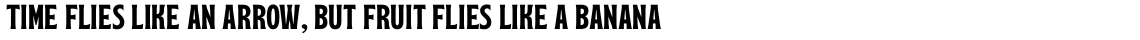 Paper Tiger Serif Bold
