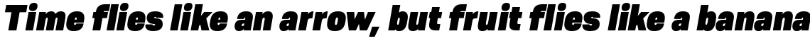 Resolve Sans Black Italic