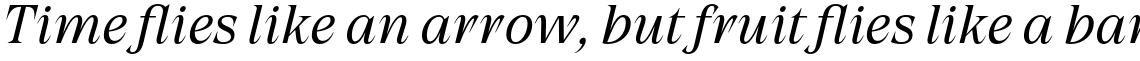 Grand Cru Light S Italic